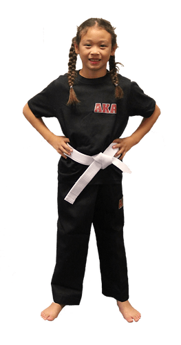 American Kickboxing Academy (AKA) media 2