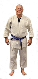 American Kickboxing Academy (AKA) media 4