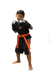 American Kickboxing Academy (AKA) media 6