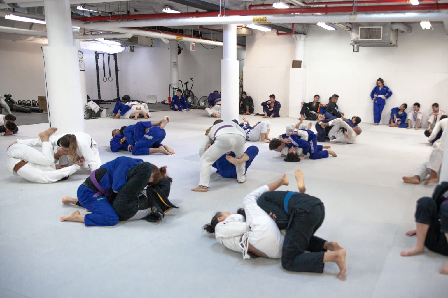 Unity Jiu Jitsu School NYC media 2