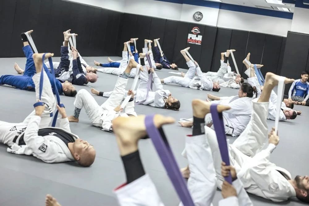 Cobrinha BJJ & Fitness media 4
