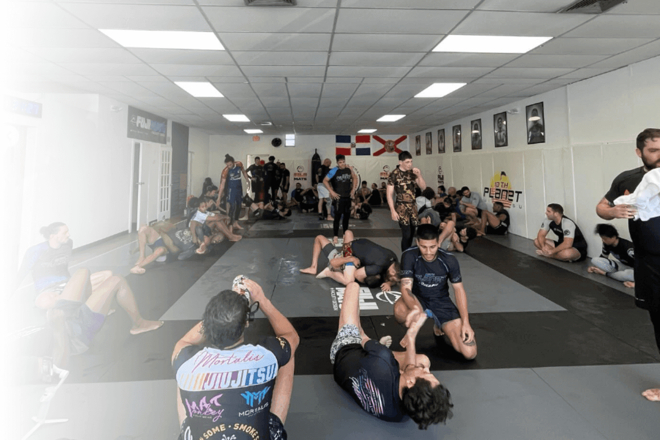 Main image of 10th Planet Jiu-Jitsu Miami
