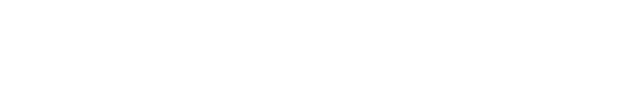 10th Planet Jiu Jitsu Vancouver Canada logo