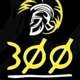 300 MMA logo