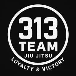 313 jiu jitsu team logo