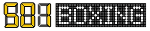 501 BOXING logo