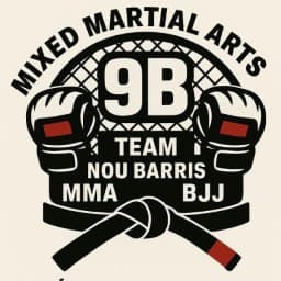 9B TEAM logo