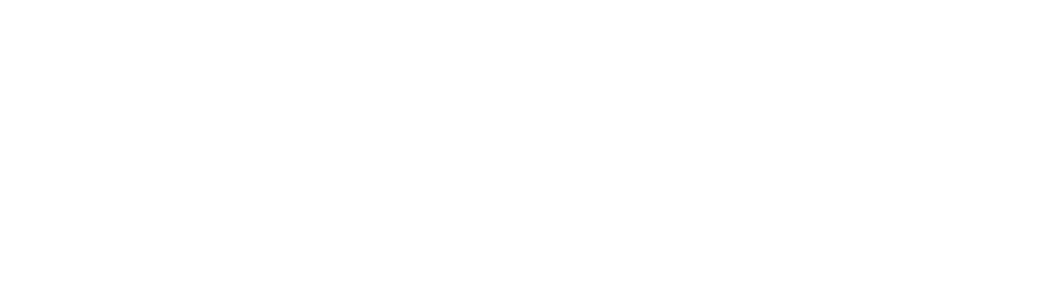 Evolution MMA logo