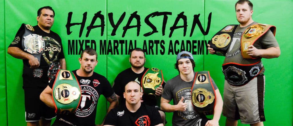 Main image of North Georgia Hayastan MMA