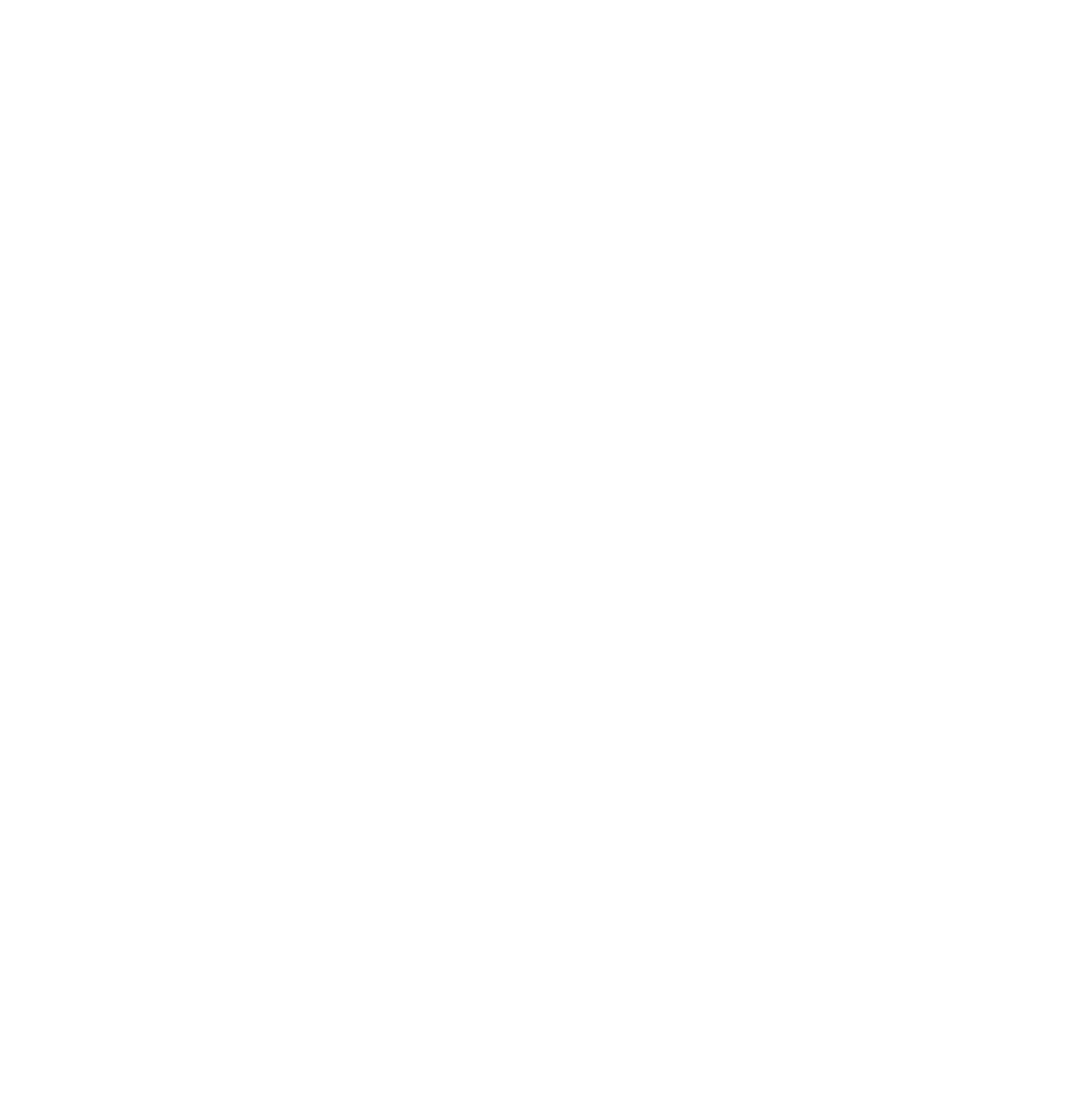 Rom jiu-jitsu academy logo