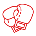DL8FIGHT BOXING CLUB logo