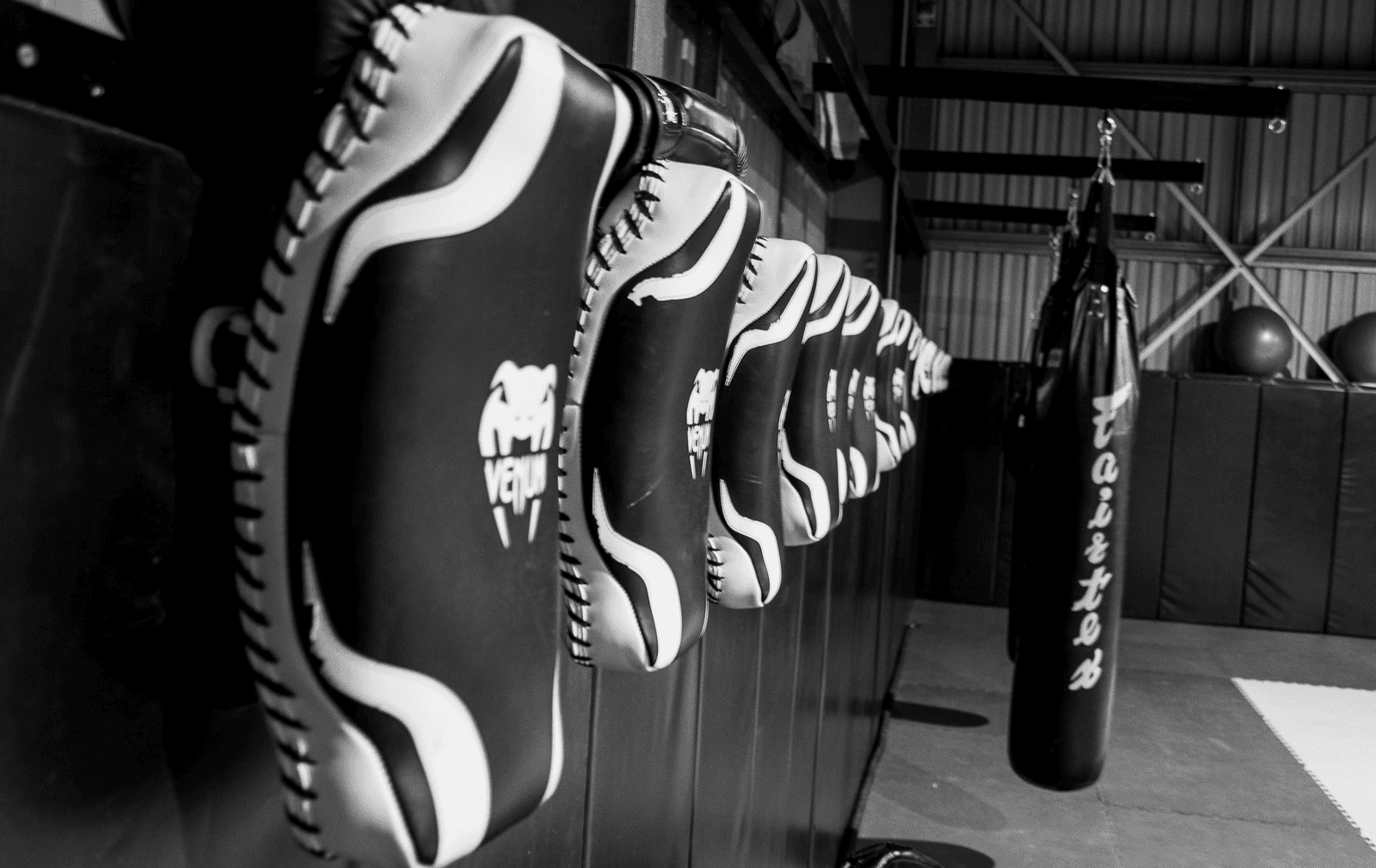 The Jiu Jitsu Studio Darwin logo