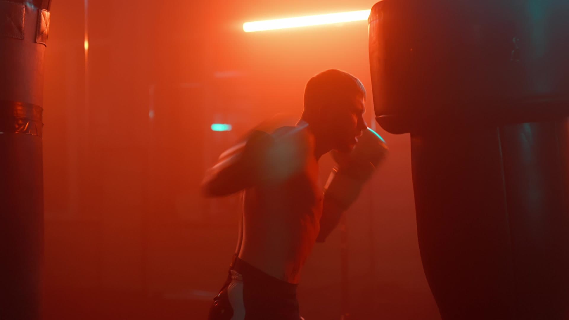 Main image of SHOCK BOXING GYM