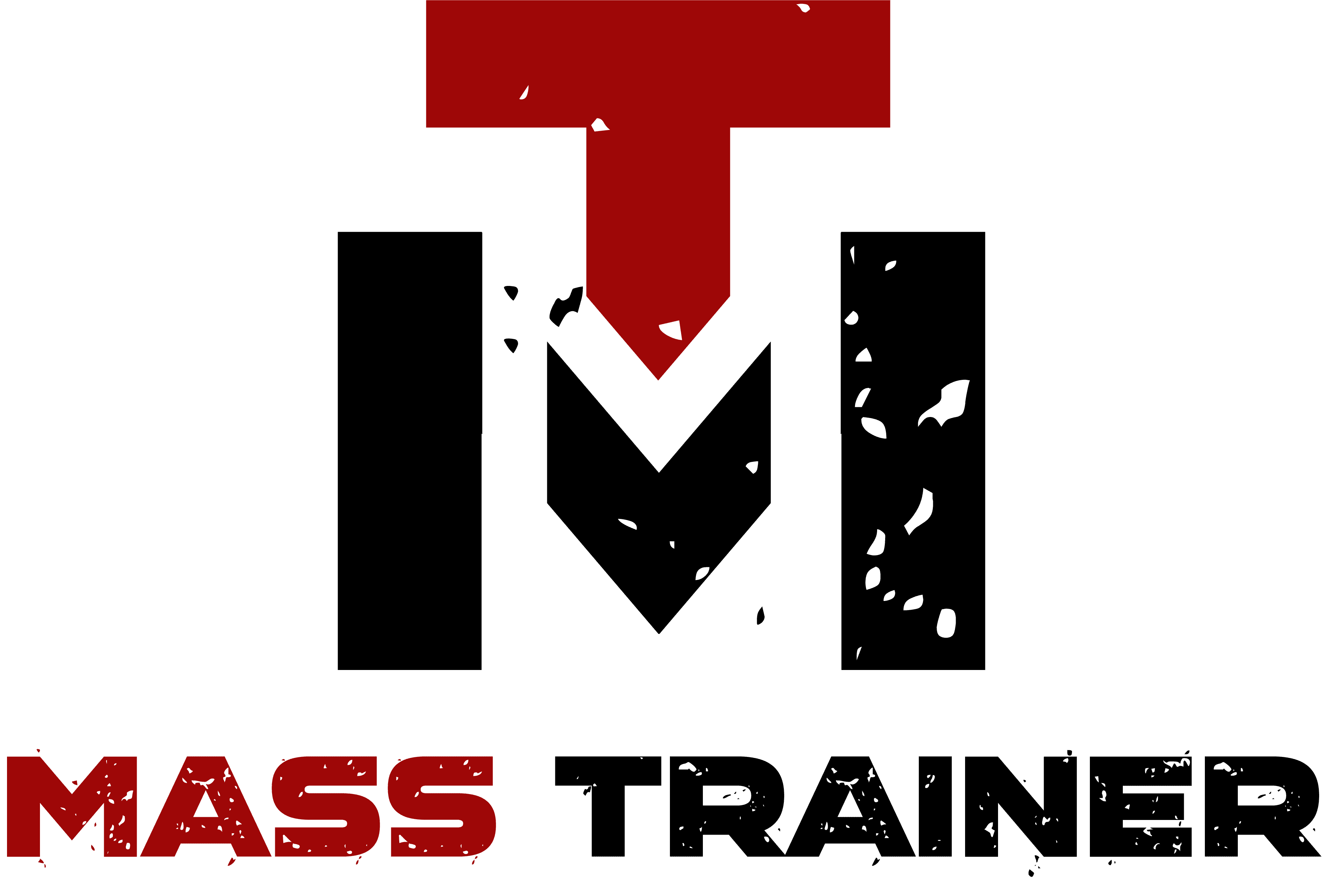 Mass Trainer logo