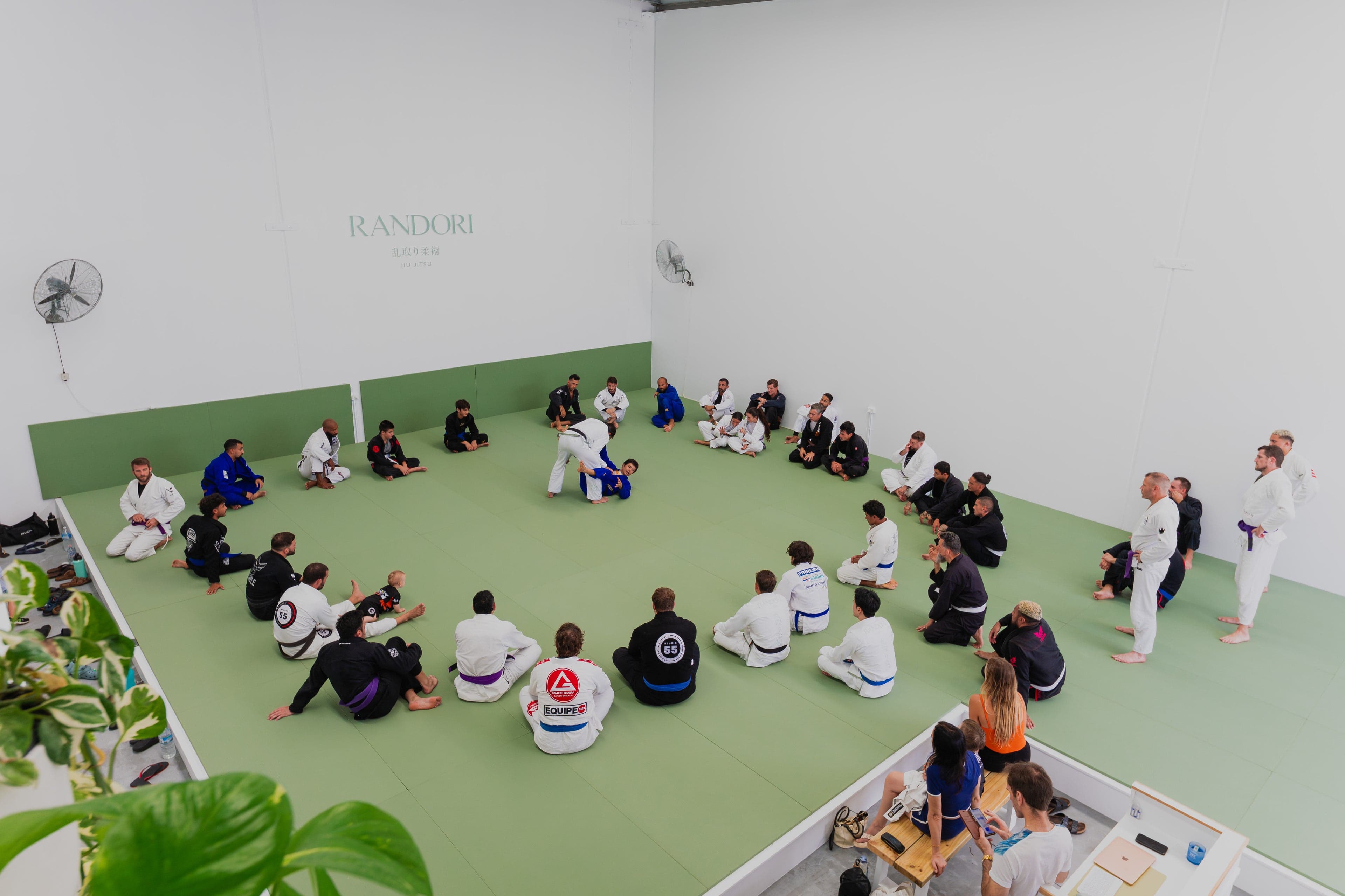 Randori Jiu Jitsu logo