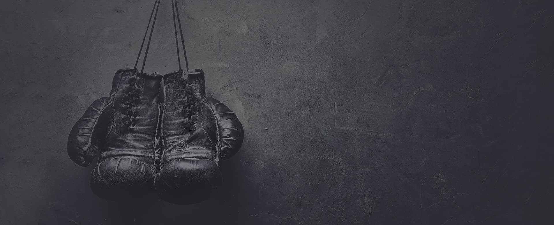 No Limit Boxing logo