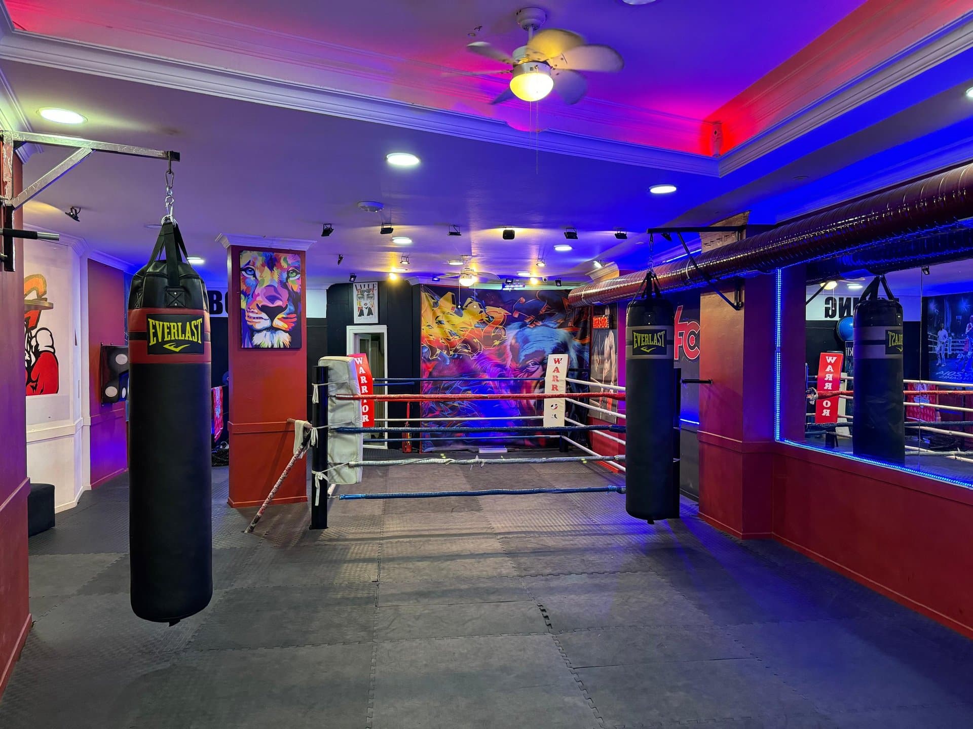 WARRIOR FIGHT CLUB (SAVAŞÇI DÖVÜŞ KULÜBÜ) logo