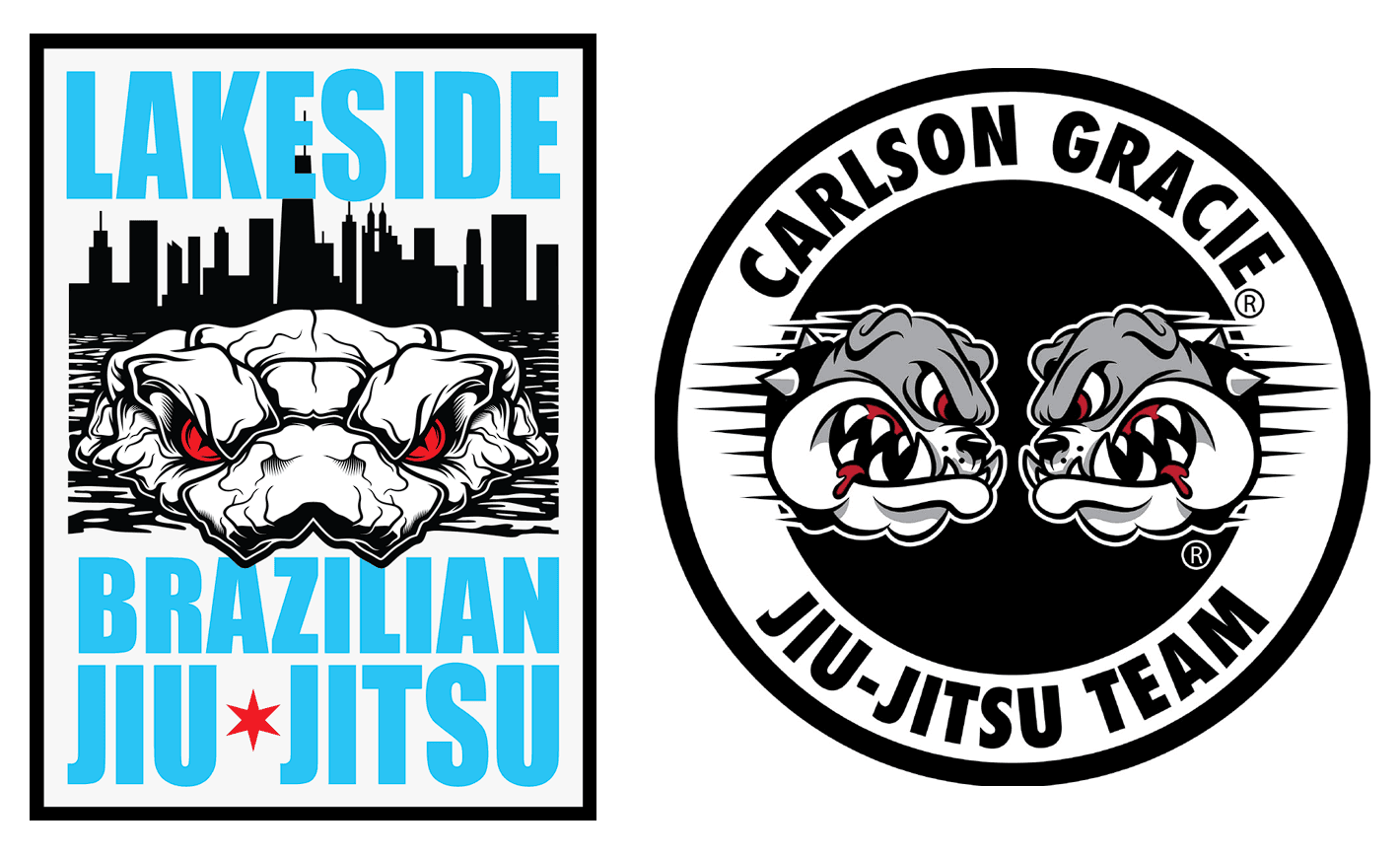 Main image of Lakeside Brazilian Jiu-Jitsu