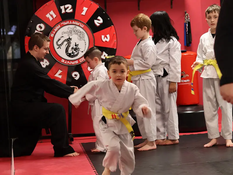 Main image of Dojo Sante