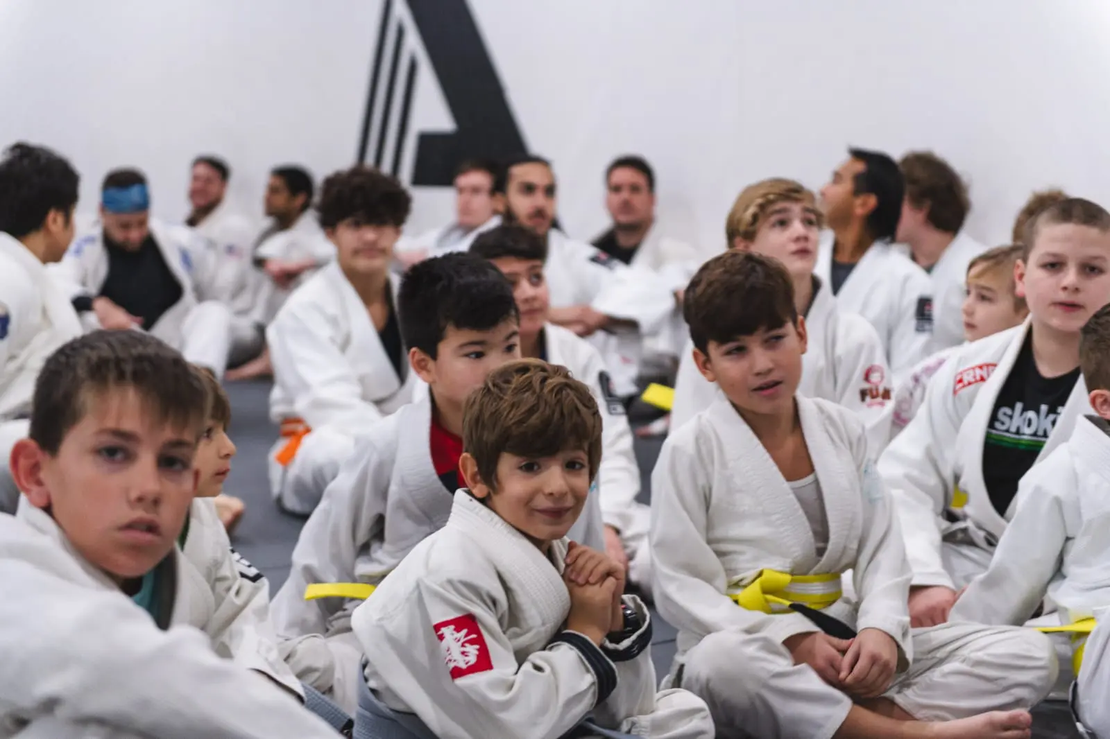 Main image of The Academy Brazilian Jiu Jitsu