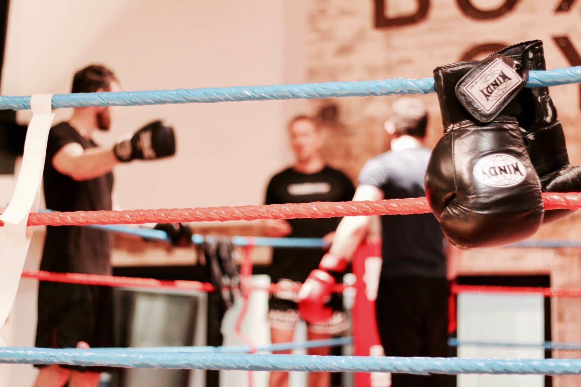 Your Boxing Coach - Personal Trainer Hamburg logo
