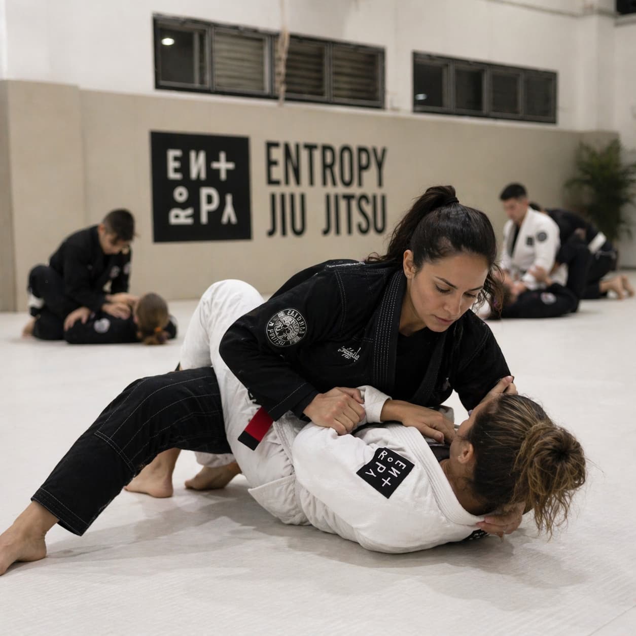 Entropy Jiu Jitsu logo