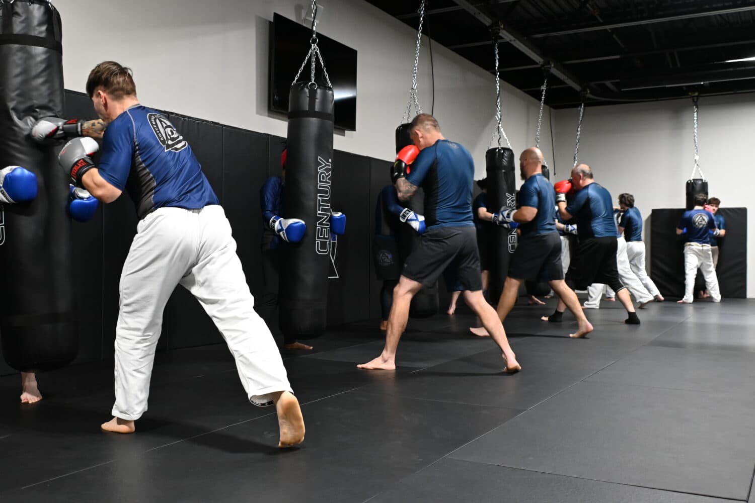 Main image of Royce Gracie Jiu Jitsu Academy