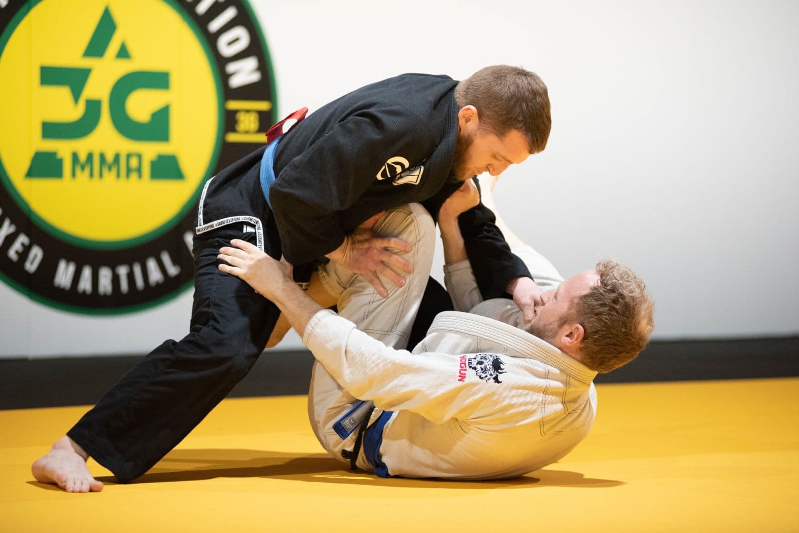 Main image of Harrisburg Brazilian Jiu Jitsu and Judo East