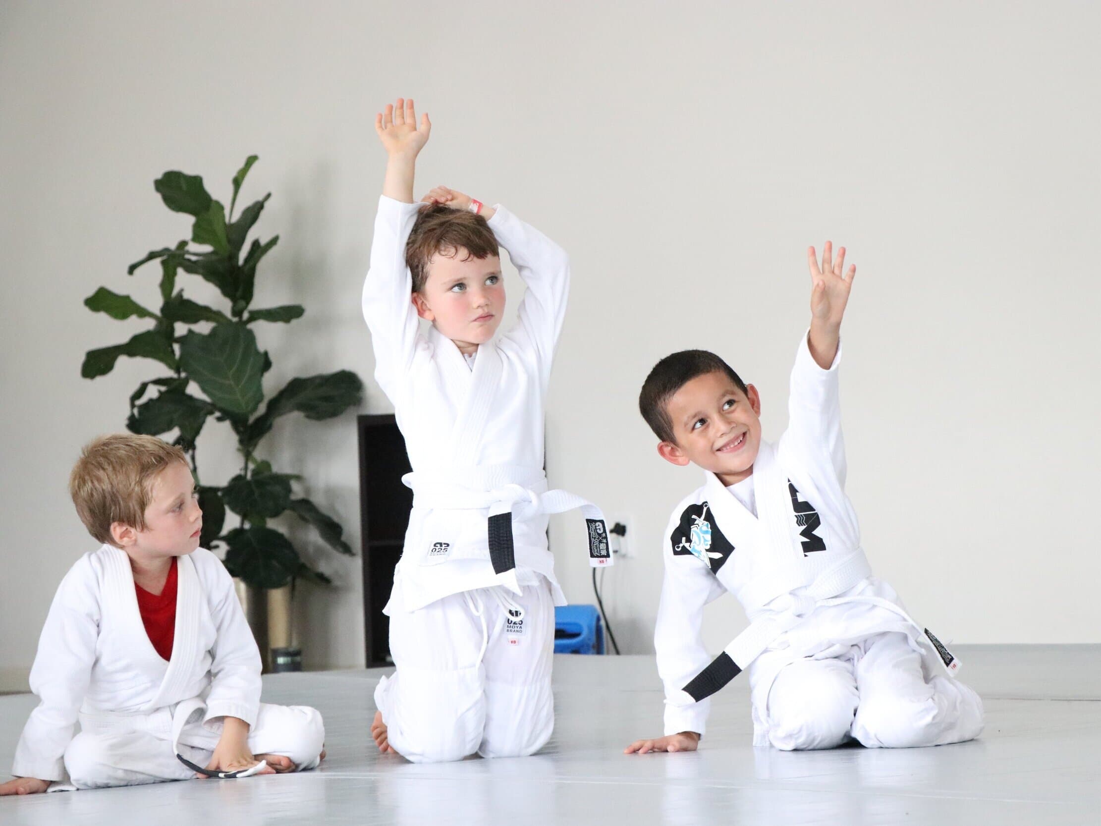Main image of Roma Jiu Jitsu Academy