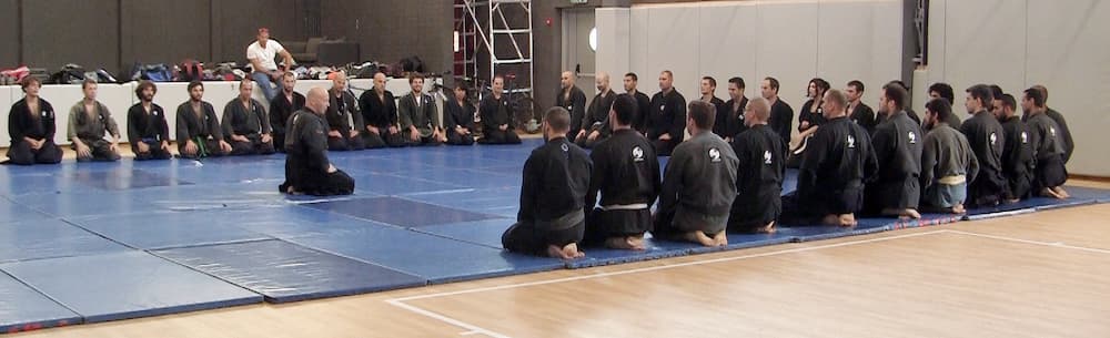 Main image of אומנויות לחימה ירושלים - נינג׳יטסו