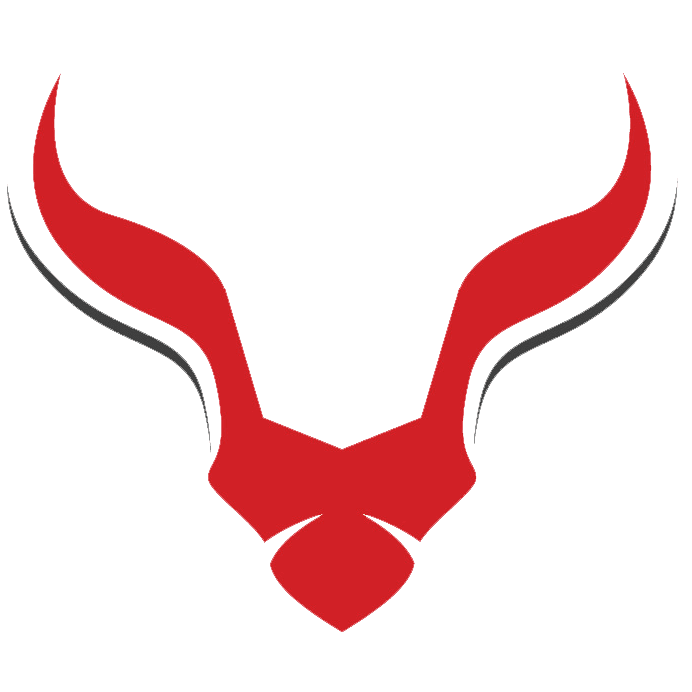 S&B Academy logo