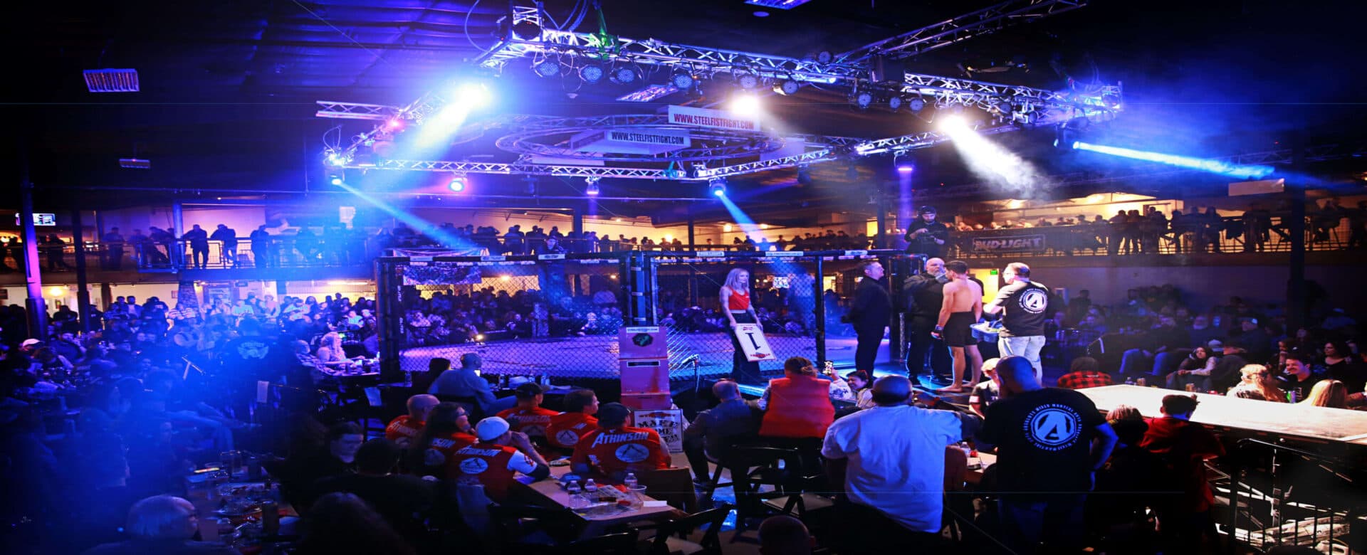 Main image of Absolute MMA