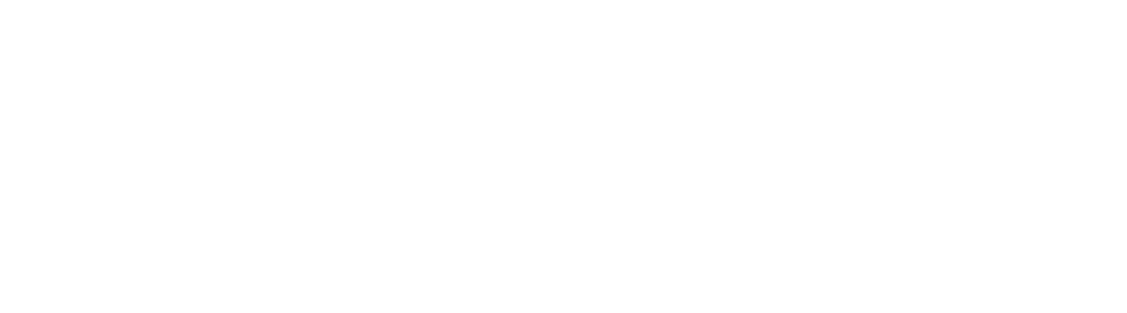 CARPE DIEM BRAZILIAN JIU-JITSU HIROO logo