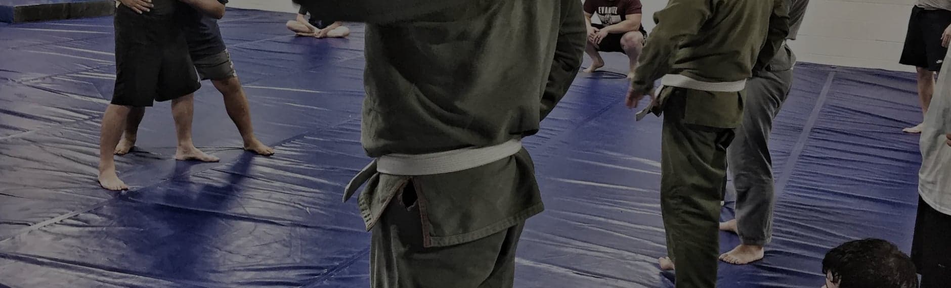 417 Brazilian Jiu Jitsu logo
