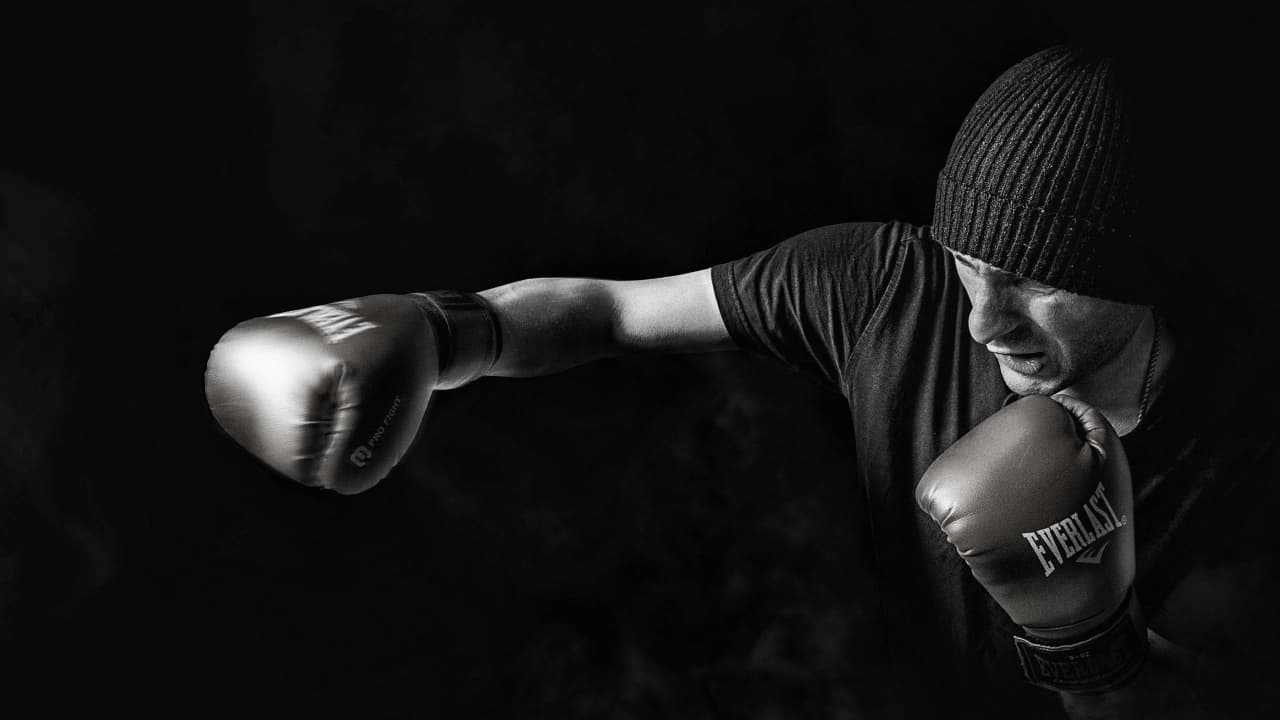 Main image of Bellicose Athletics