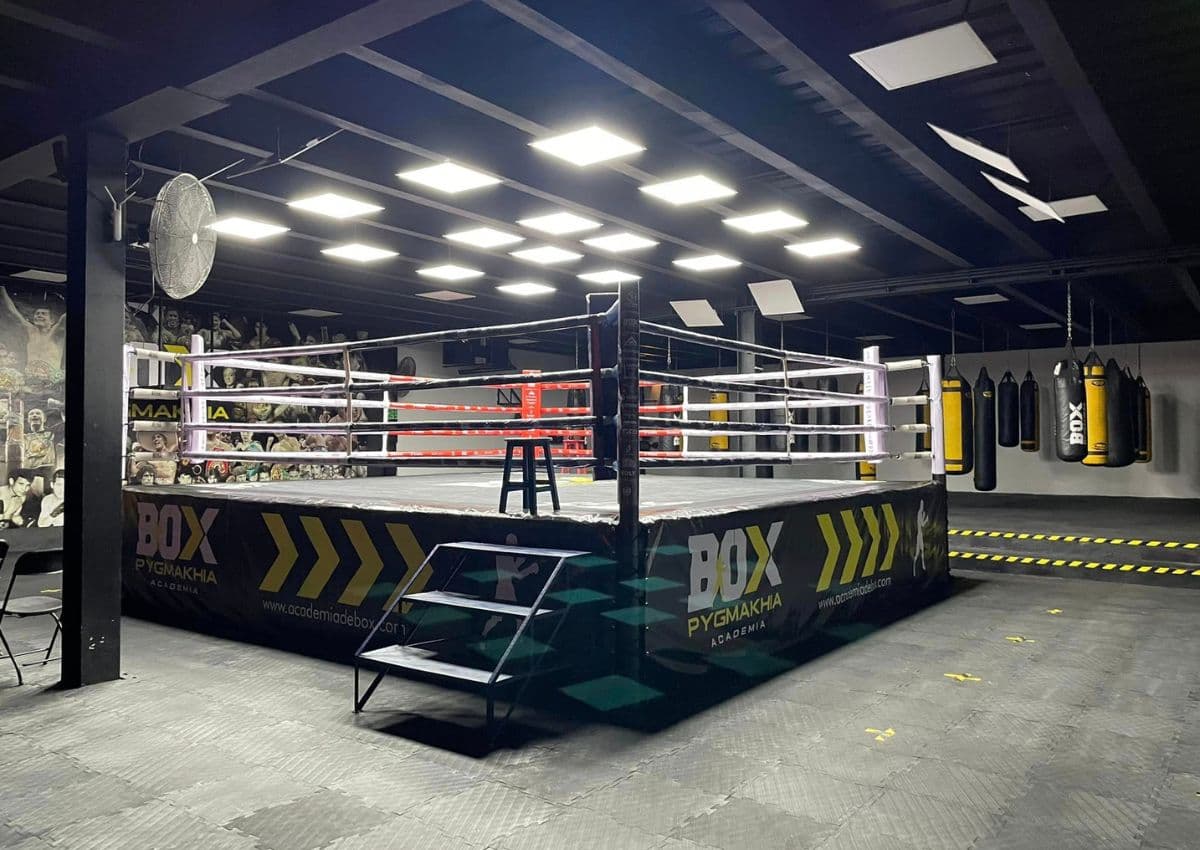 Main image of Academia de Box Pygmakhia