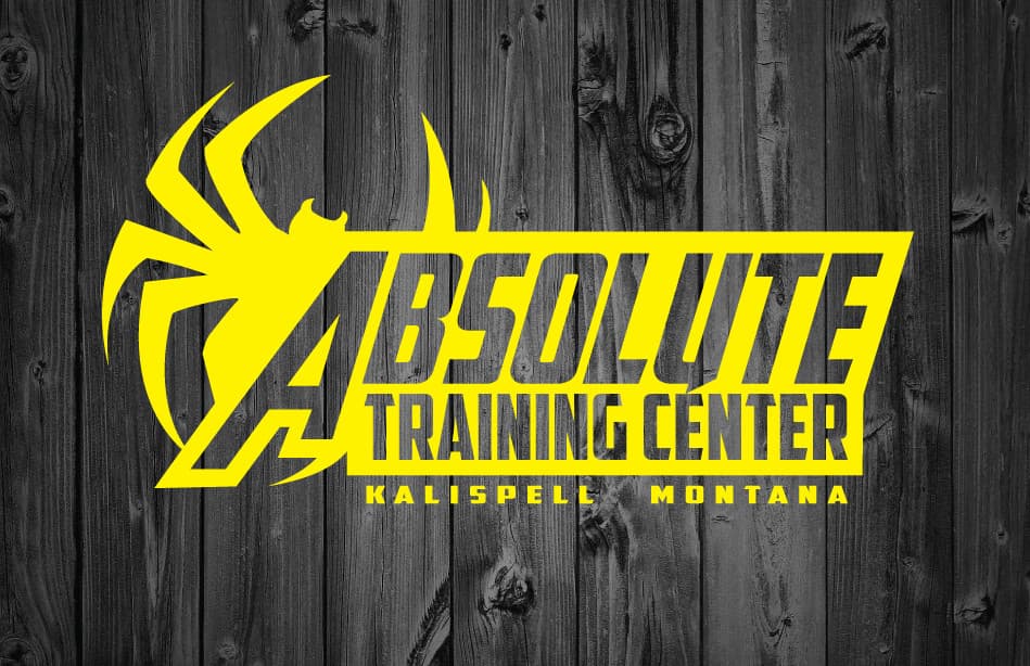 Main image of Absolute Fight Factory