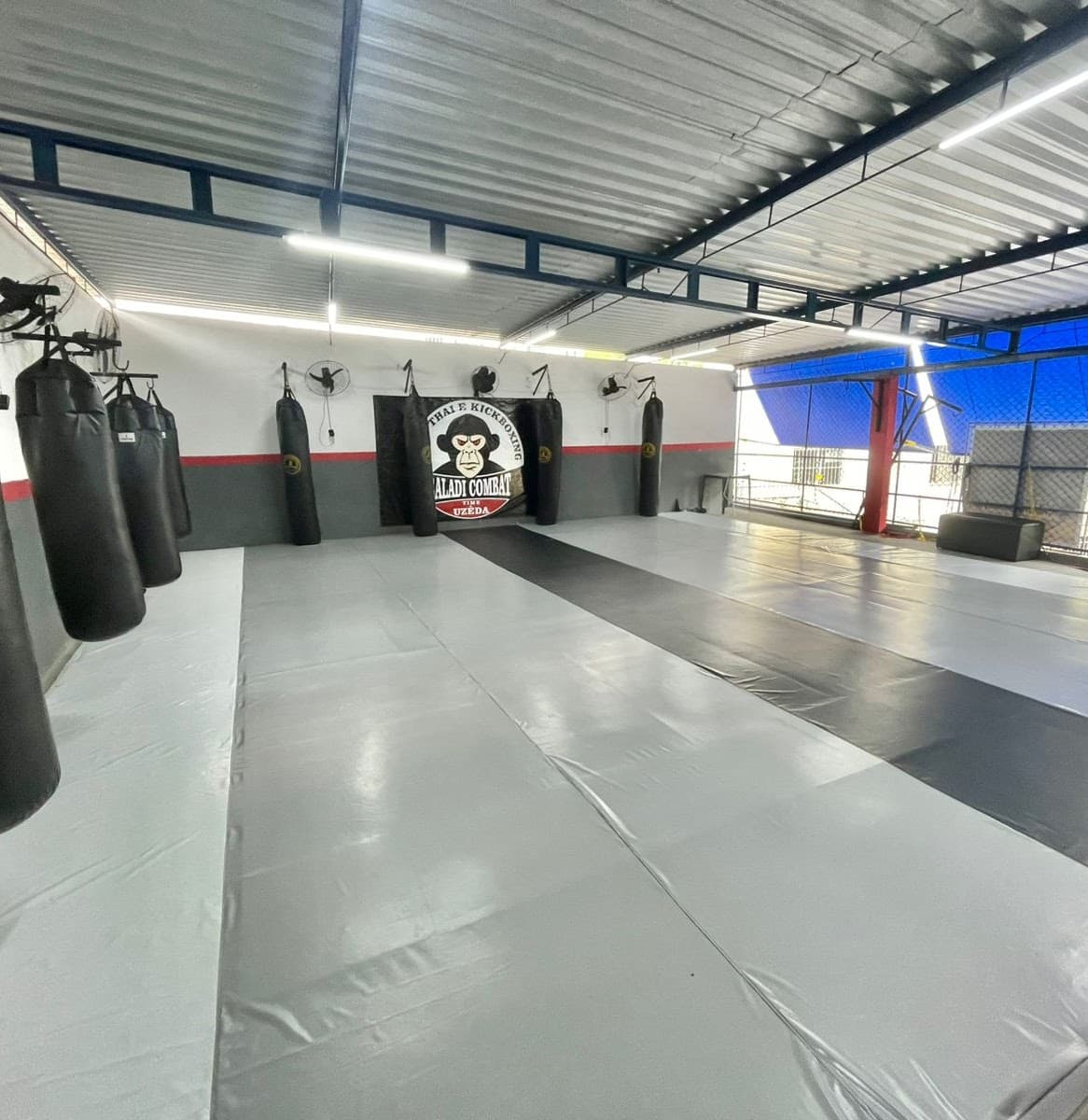 CT Baladi Combat logo