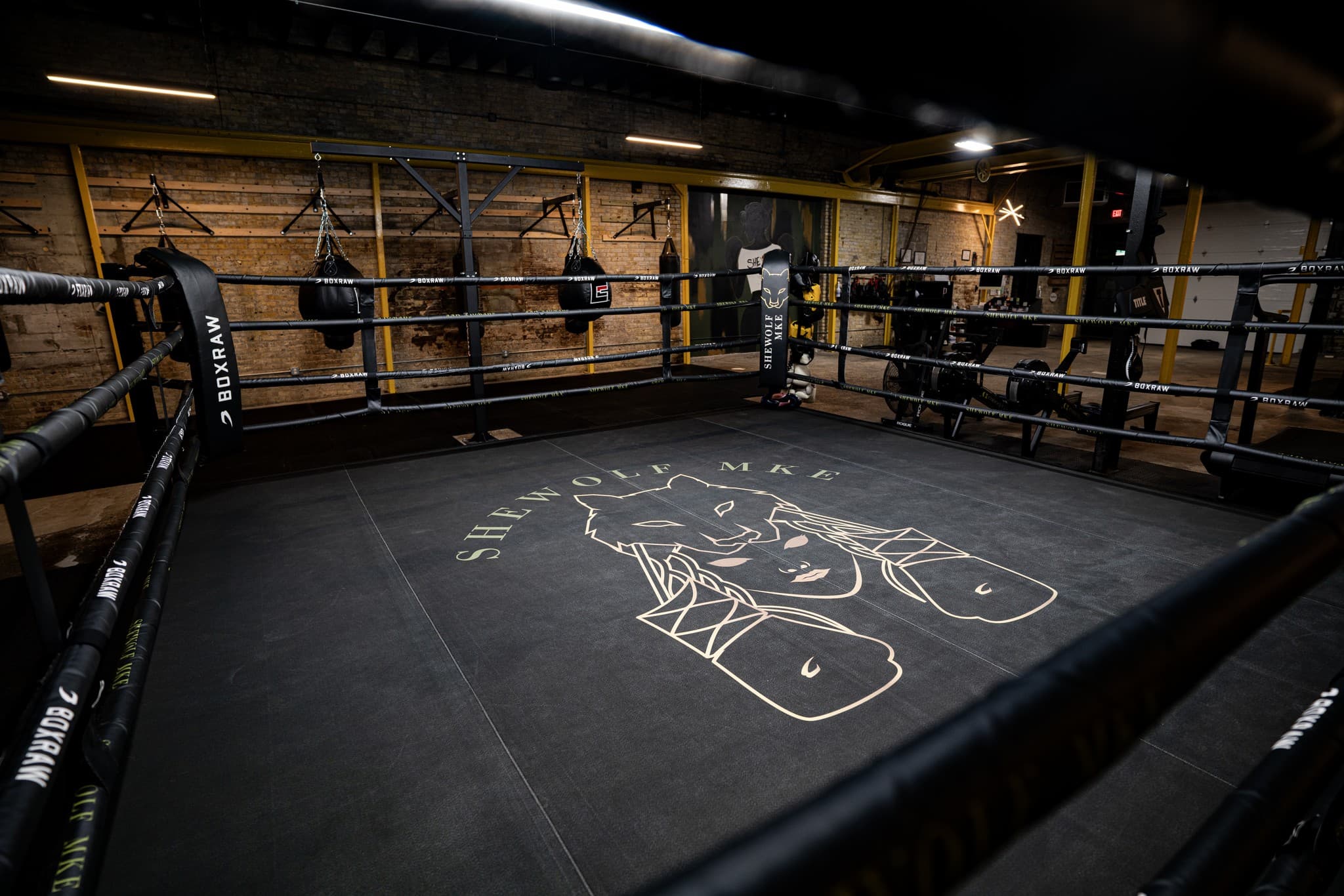 Main image of SheWolf MKE | Women’s Boxing & Fitness