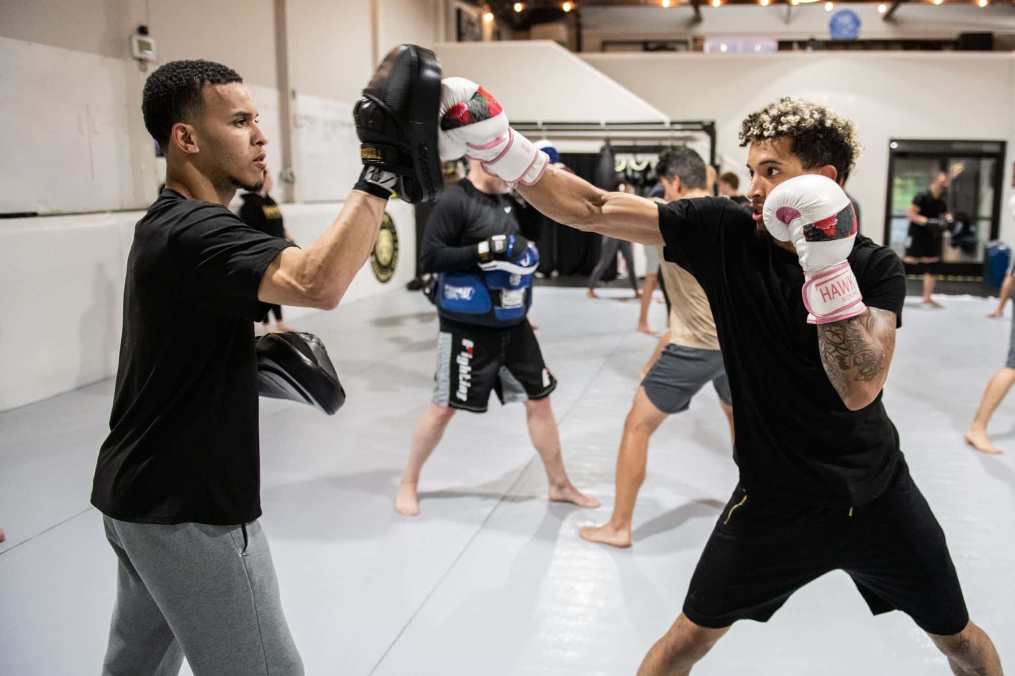 Main image of Royal MMA