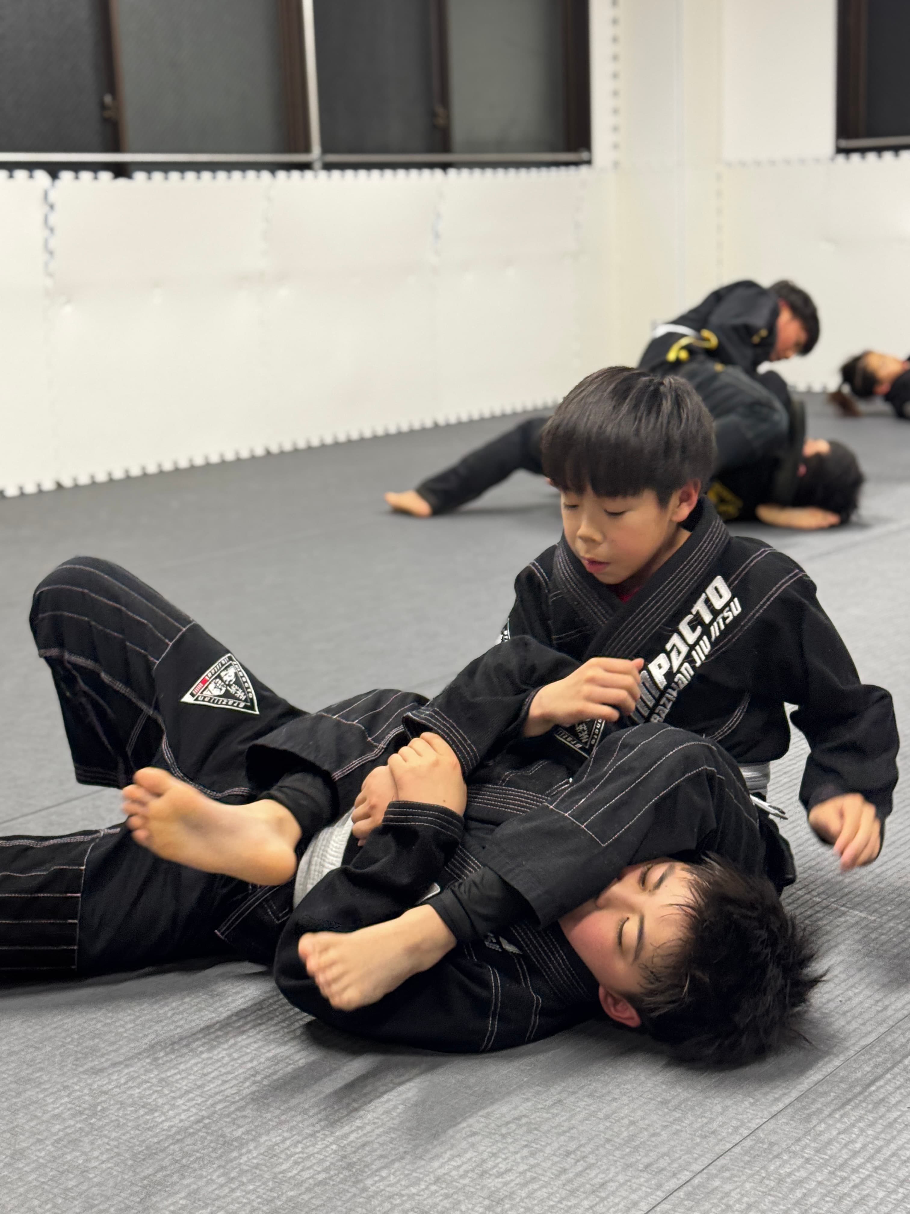 Main image of Impacto bjj Fujiidera
