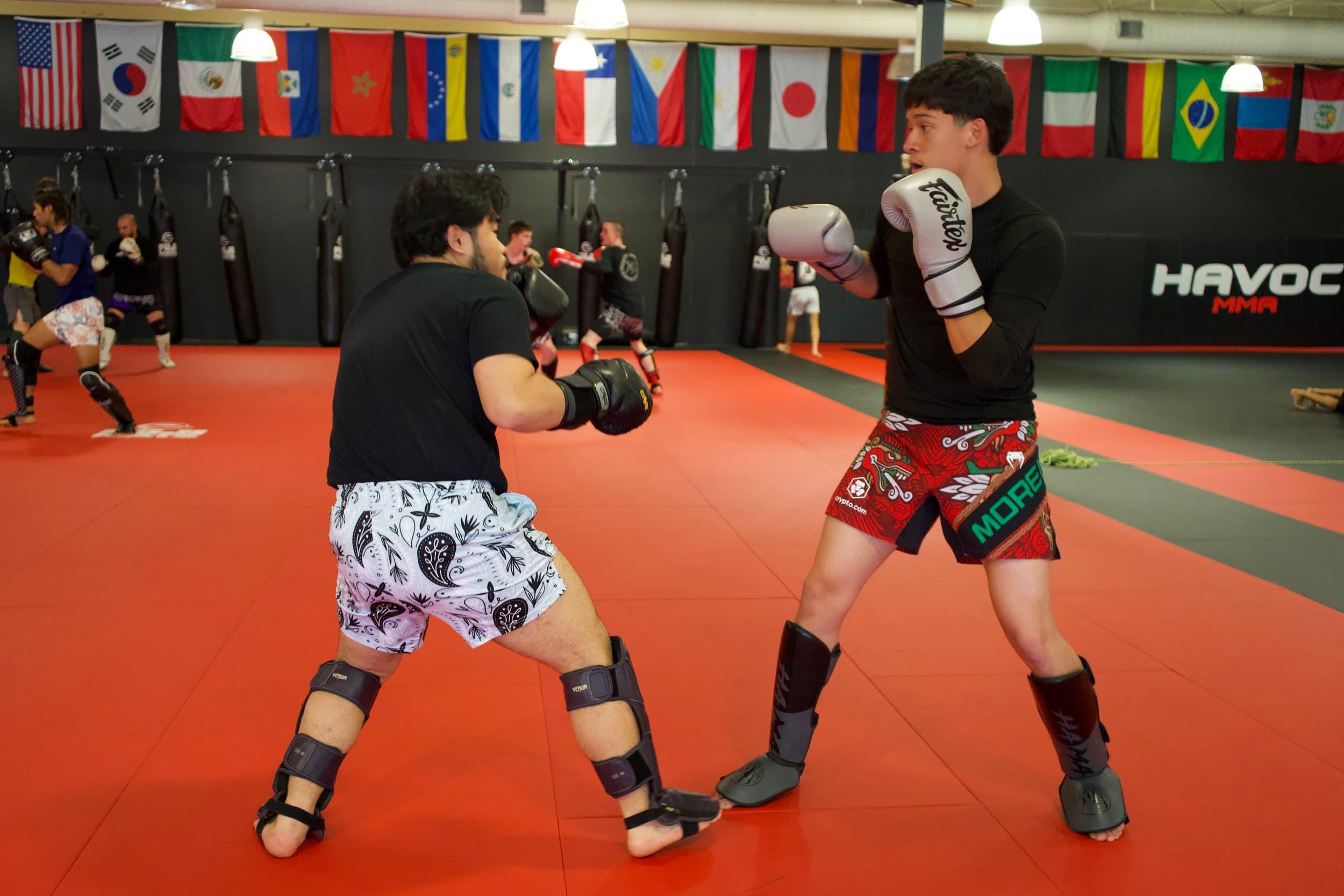 Main image of HAVOC MMA