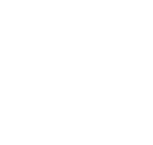 Studio Battalion, Battalion thai boxing logo
