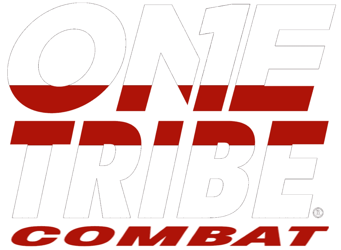 Main image of One Tribe Combat Training Collective