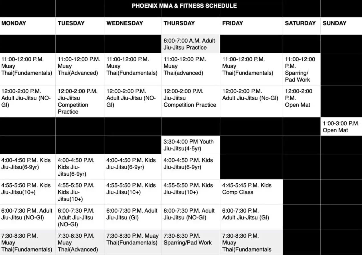 Main image of Phoenix MMA and Fitness