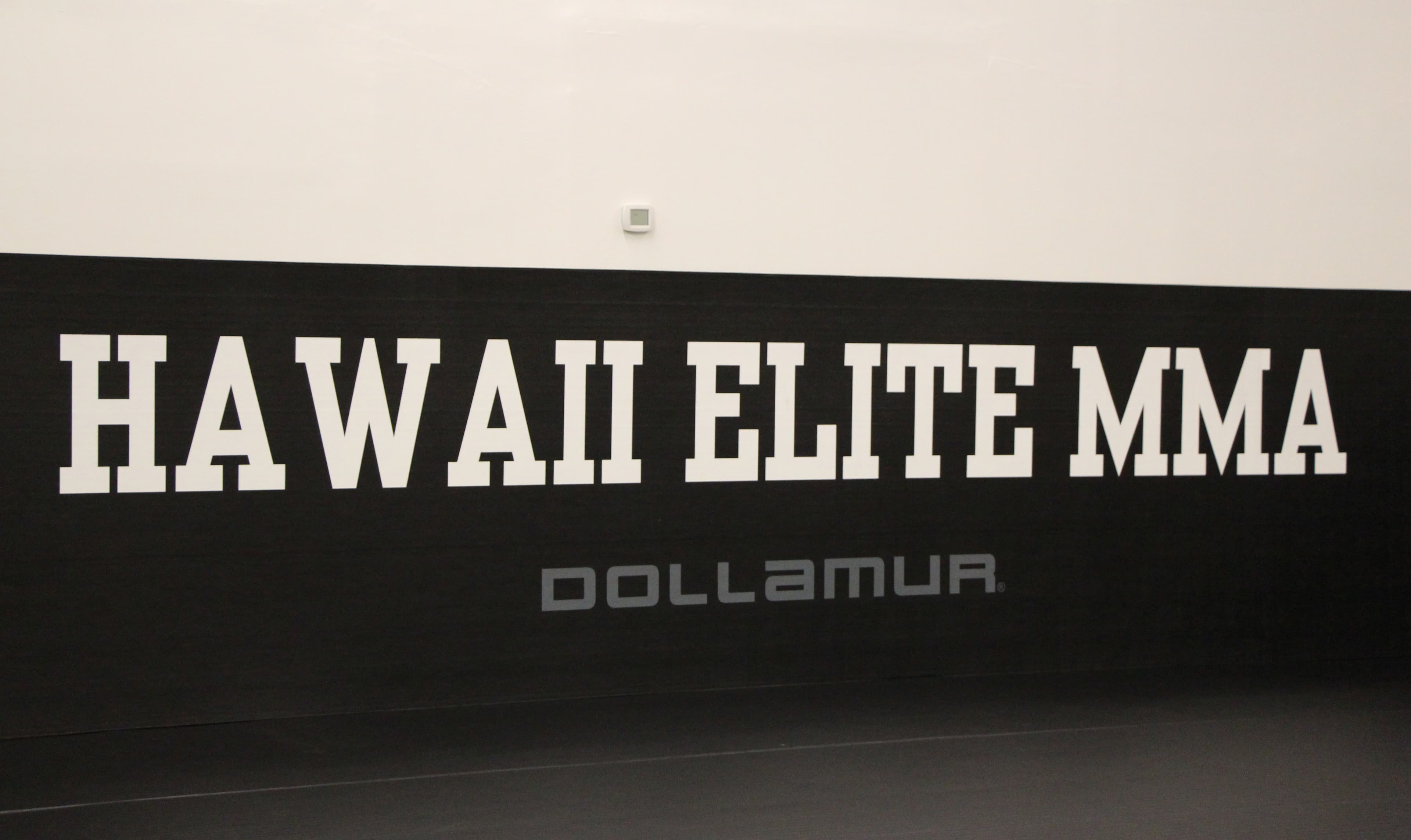 Hawaii Elite MMA & Fitness logo
