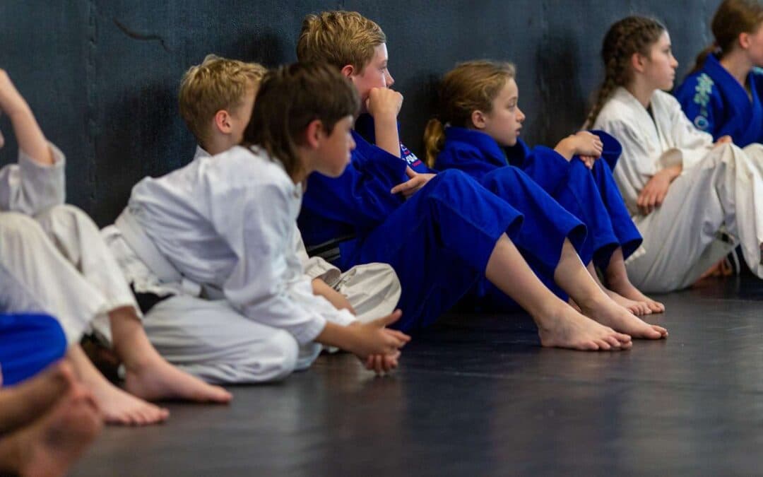 Main image of Illinois Martial Arts Academy