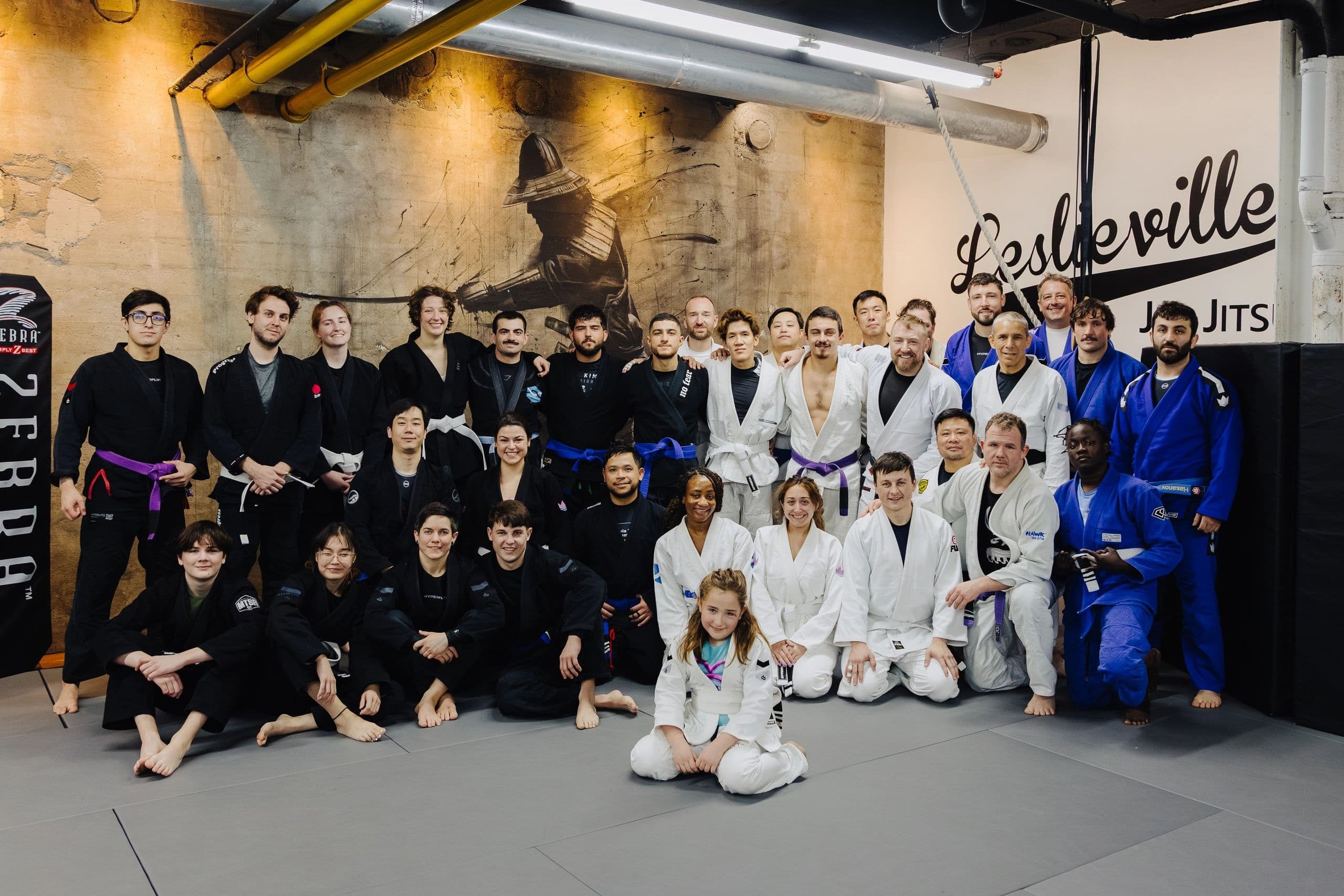 Main image of Leslieville BJJ