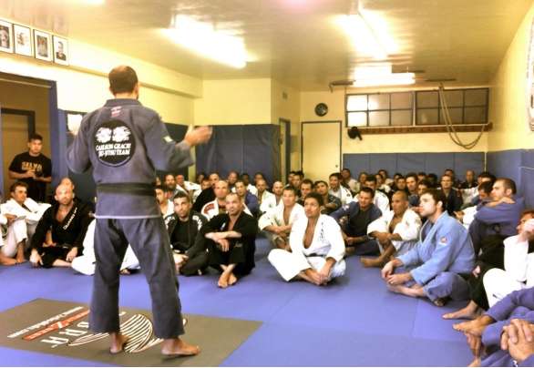 BJJ Revolution Team logo