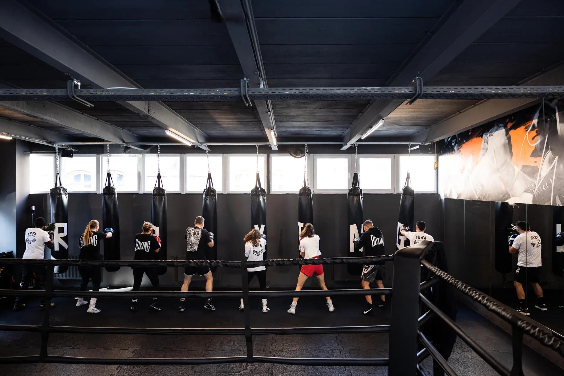 Main image of IBRA BOXING